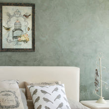 Load image into Gallery viewer, FX Easy Sanding Stucco - Interior Only