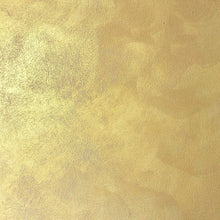 Load image into Gallery viewer, FX Antique Metal Gold - Interior Only