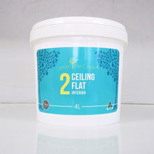 Load image into Gallery viewer, FX Lemon Tree Creek® Ceiling Flat - Interior Only