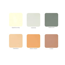 Load image into Gallery viewer, FX Mud Paint® - Interior & Exterior