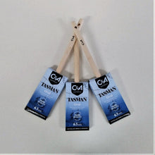 Load image into Gallery viewer, Tasman Oval Paint Brush Economy Handle (50mm; 63mm)